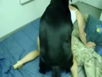 Lovely teen masturbates in front of dog and have dog sex